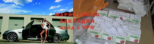 хмурый Алзамай
