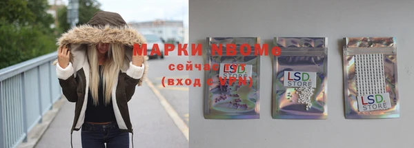 хмурый Алзамай