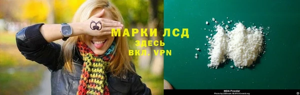 хмурый Алзамай