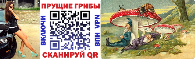 Псилоцибиновые грибы Magic Shrooms  Аткарск 